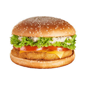 Sollow Burger